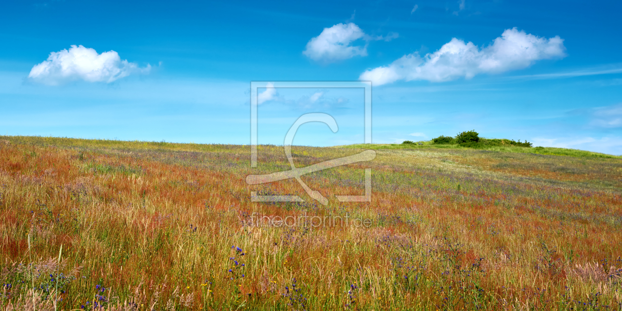 Bild-Nr.: 12879887 Rügen - Farbenpracht am Bakenberg erstellt von Reiner Würz