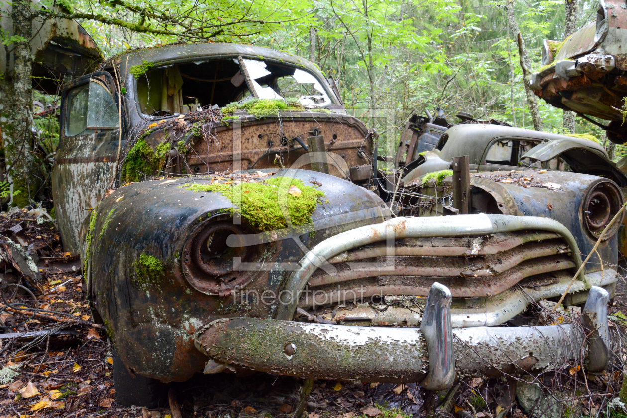 Bild-Nr.: 12880097 Oldtimer im Wald erstellt von Bettina Schnittert