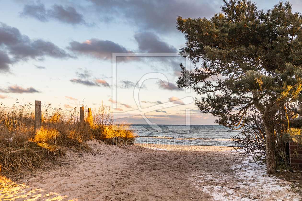 Bild-Nr.: 12880792 Dünenstrand im Abendlicht erstellt von Ursula Reins
