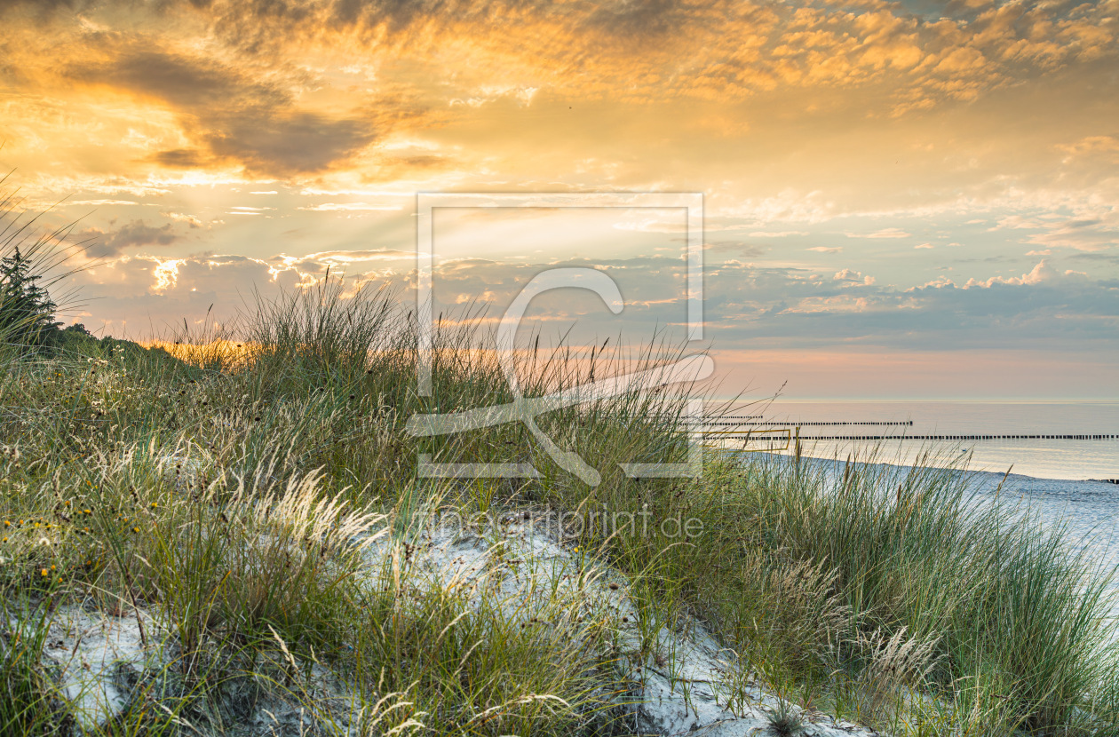 Bild-Nr.: 12881892 Stranddünen von Zingst erstellt von Ursula Reins