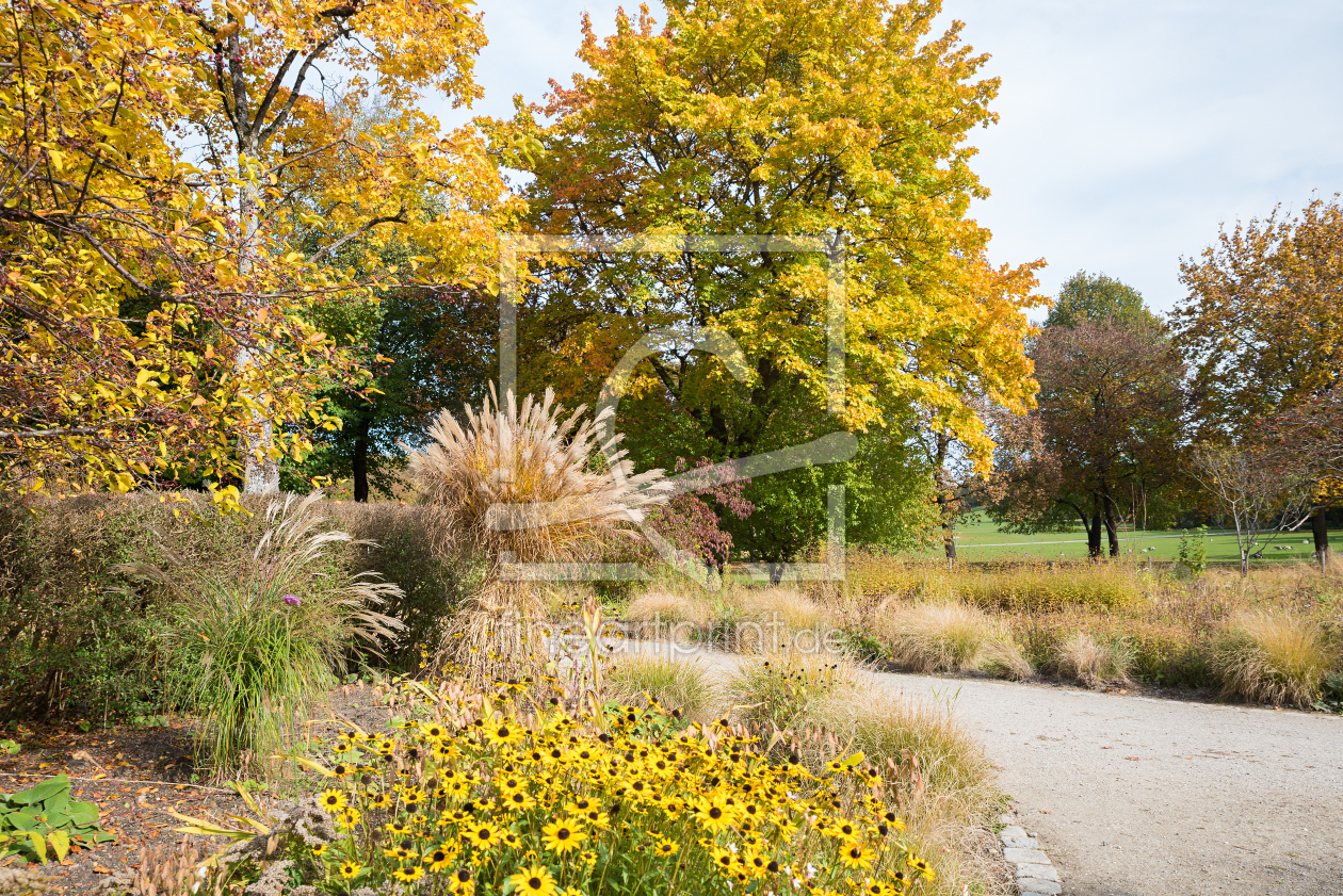 Bild-Nr.: 12882070 Herbst im Münchner Westpark erstellt von SusaZoom
