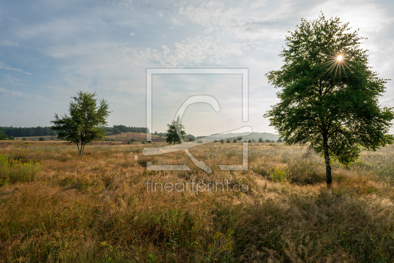 Bild-Nr.: 12882294 Lichtstimmung in der Heide erstellt von volker heide