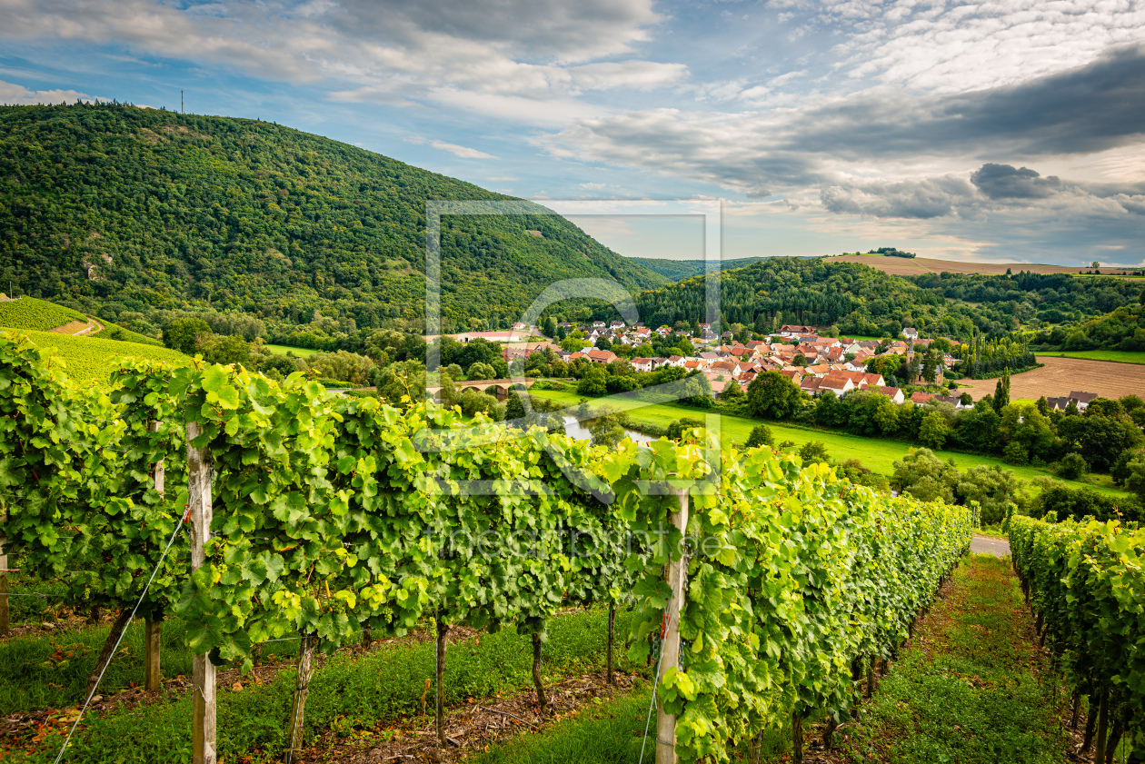 Bild-Nr.: 12882917 Königlich Preussische Weinbau-Domäne 49 erstellt von Erhard Hess