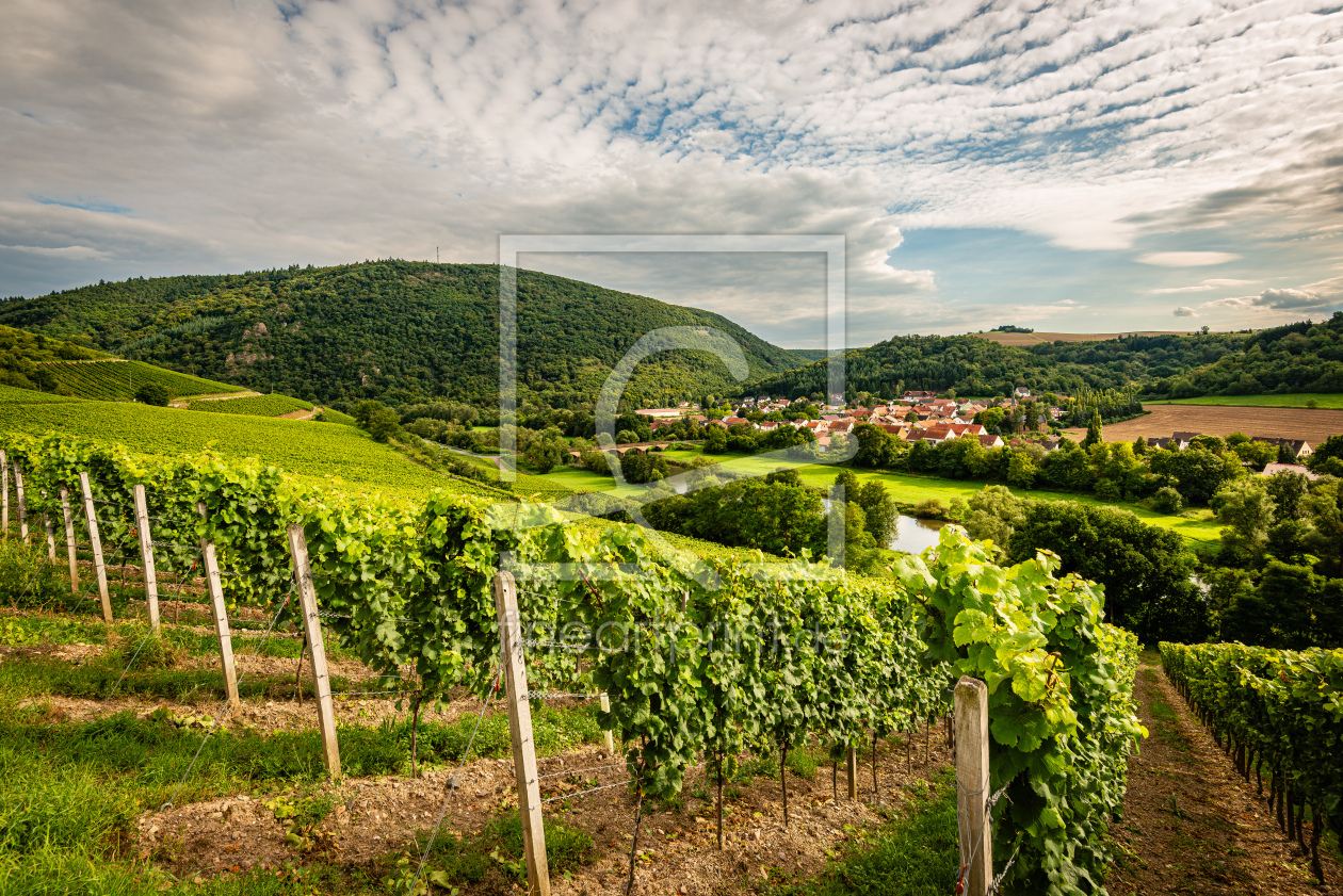 Bild-Nr.: 12882918 Königlich Preussische Weinbau-Domäne 38 erstellt von Erhard Hess