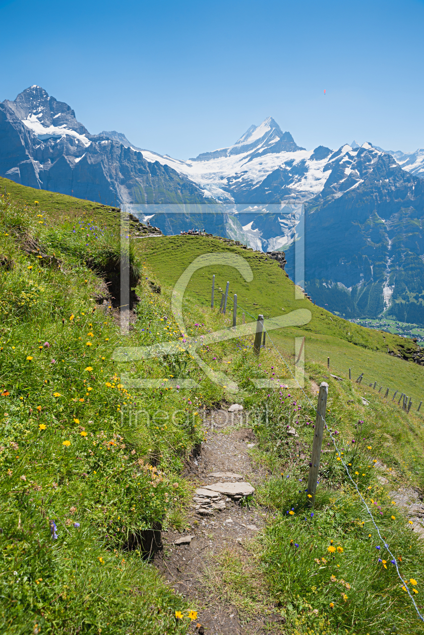 Bild-Nr.: 12883745 Blick zum Schreckhorn Wanderweg Grindelwald erstellt von SusaZoom