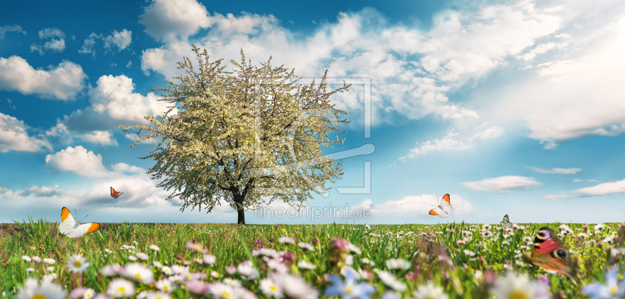 Bild-Nr.: 12883819 Wiese mit Baum und Frühlingsblumen erstellt von Smileus