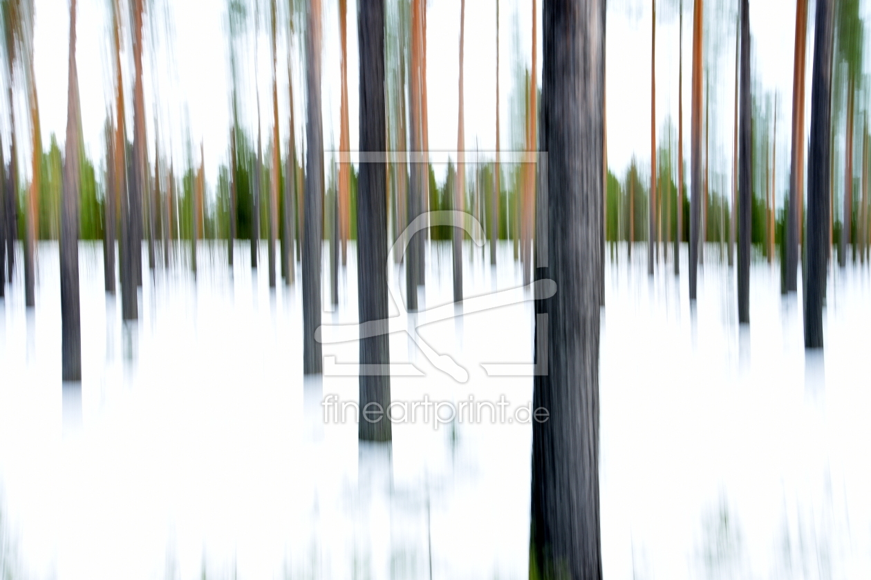 Bild-Nr.: 12884348 Wischerwald im Winter erstellt von GUGIGEI