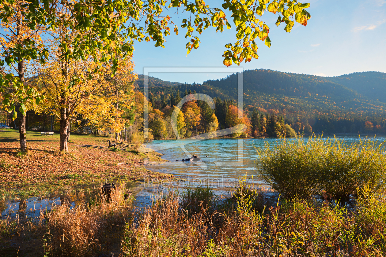 Bild-Nr.: 12885005 Walchenseeufer im Herbst erstellt von SusaZoom