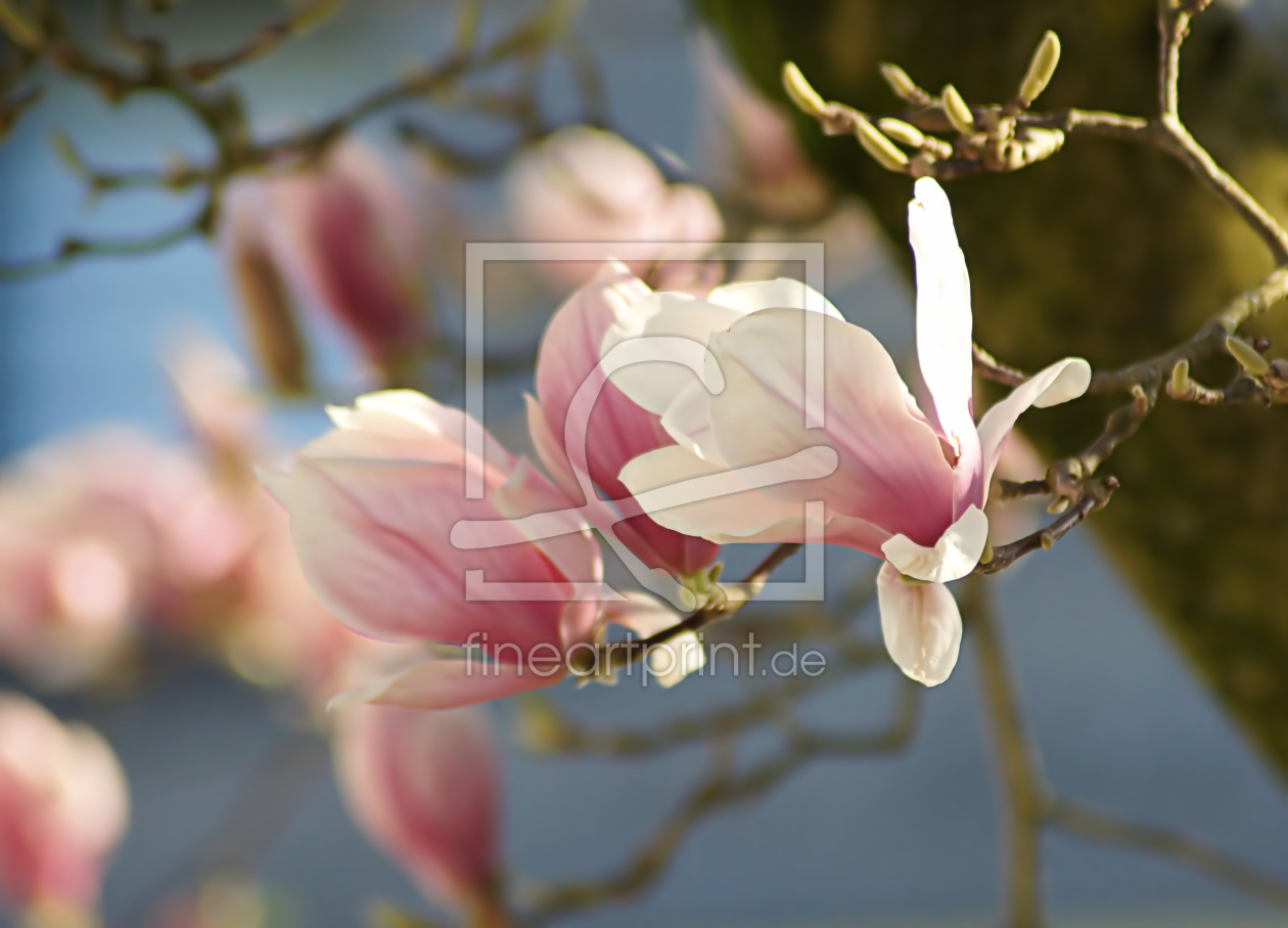 Bild-Nr.: 12886087 Romantic Moments erstellt von youhaveadream