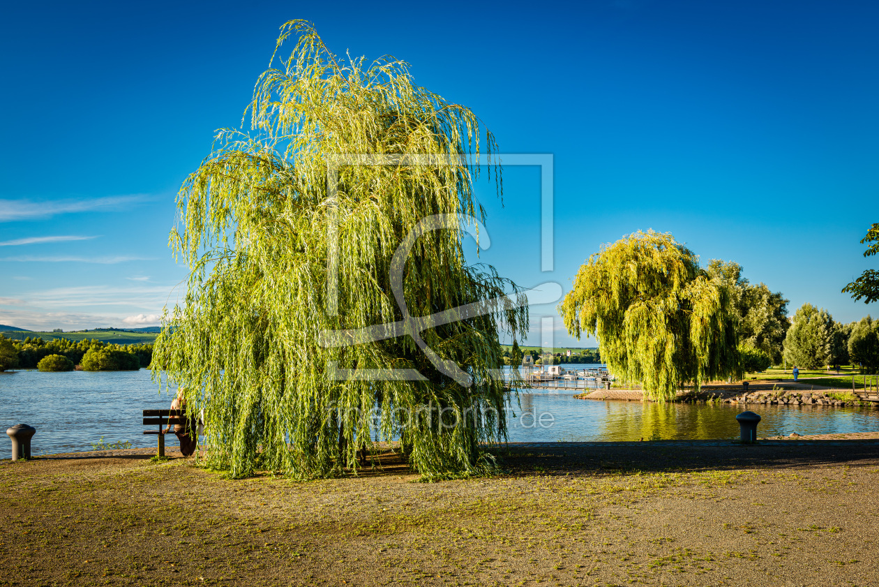 Bild-Nr.: 12886192 Rheinaue bei Heidenfahrt 31 erstellt von Erhard Hess