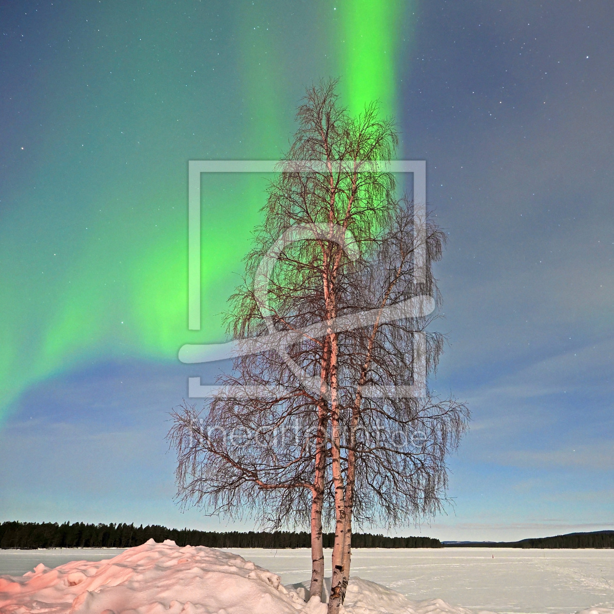 Bild-Nr.: 12886797 Lady Aurora erstellt von GUGIGEI