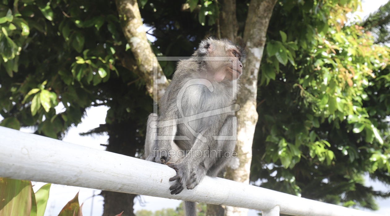 Bild-Nr.: 12887613 a penny for your thoughts erstellt von Amazone54