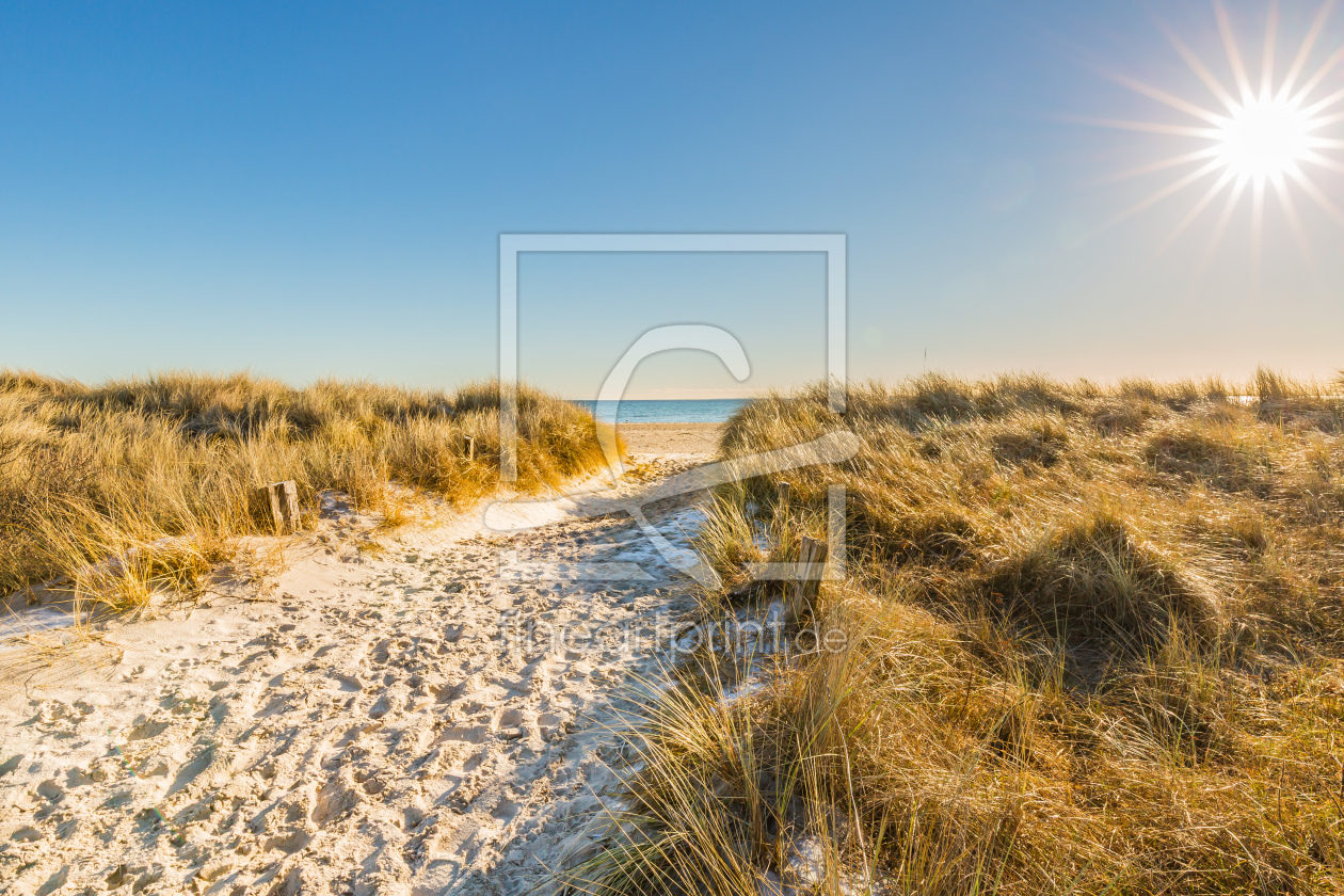 Bild-Nr.: 12887905 Dünenstrand an der Ostsee erstellt von Ursula Reins