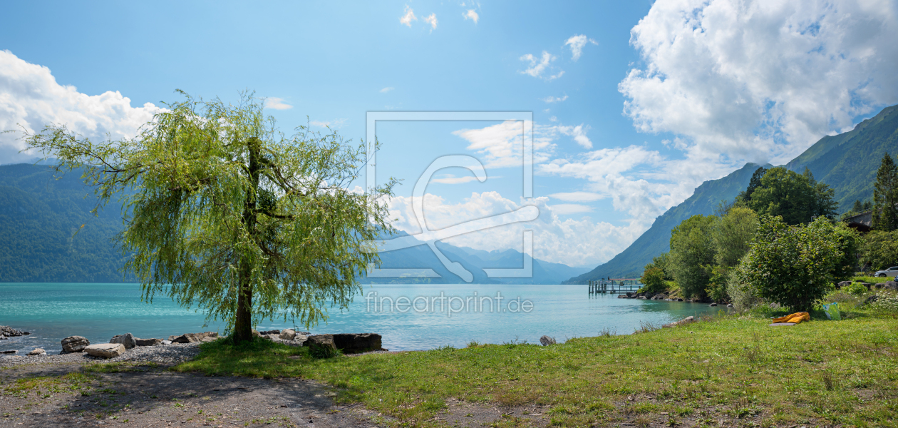 Bild-Nr.: 12889885 Weide am Brienzersee erstellt von SusaZoom