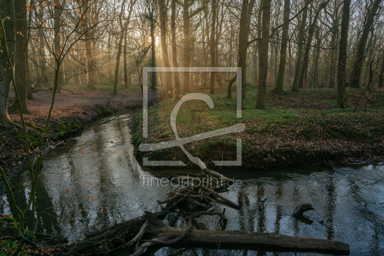 Bild-Nr.: 12891233 Frühling am kleinen Waldbach im Ruhrgebiet erstellt von volker heide