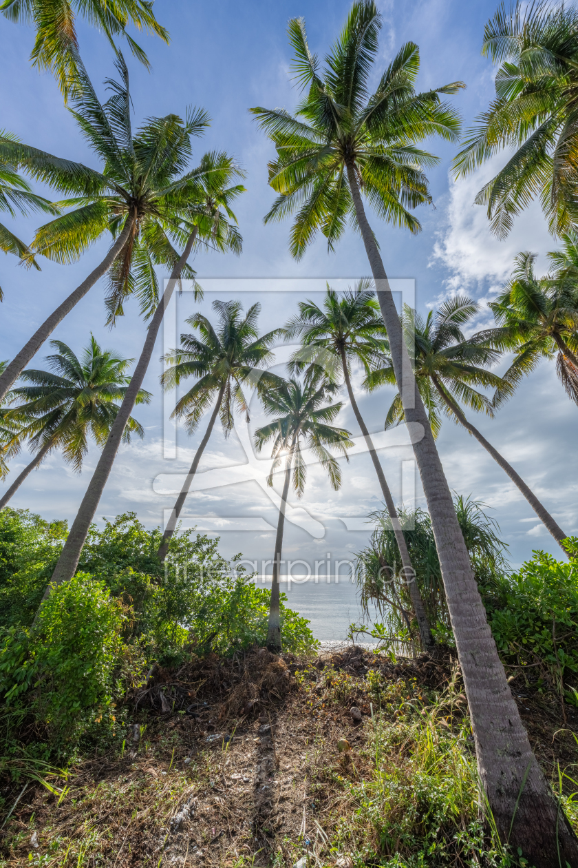 Bild-Nr.: 12891379 Palmen am Strand auf Koh Samui erstellt von eyetronic