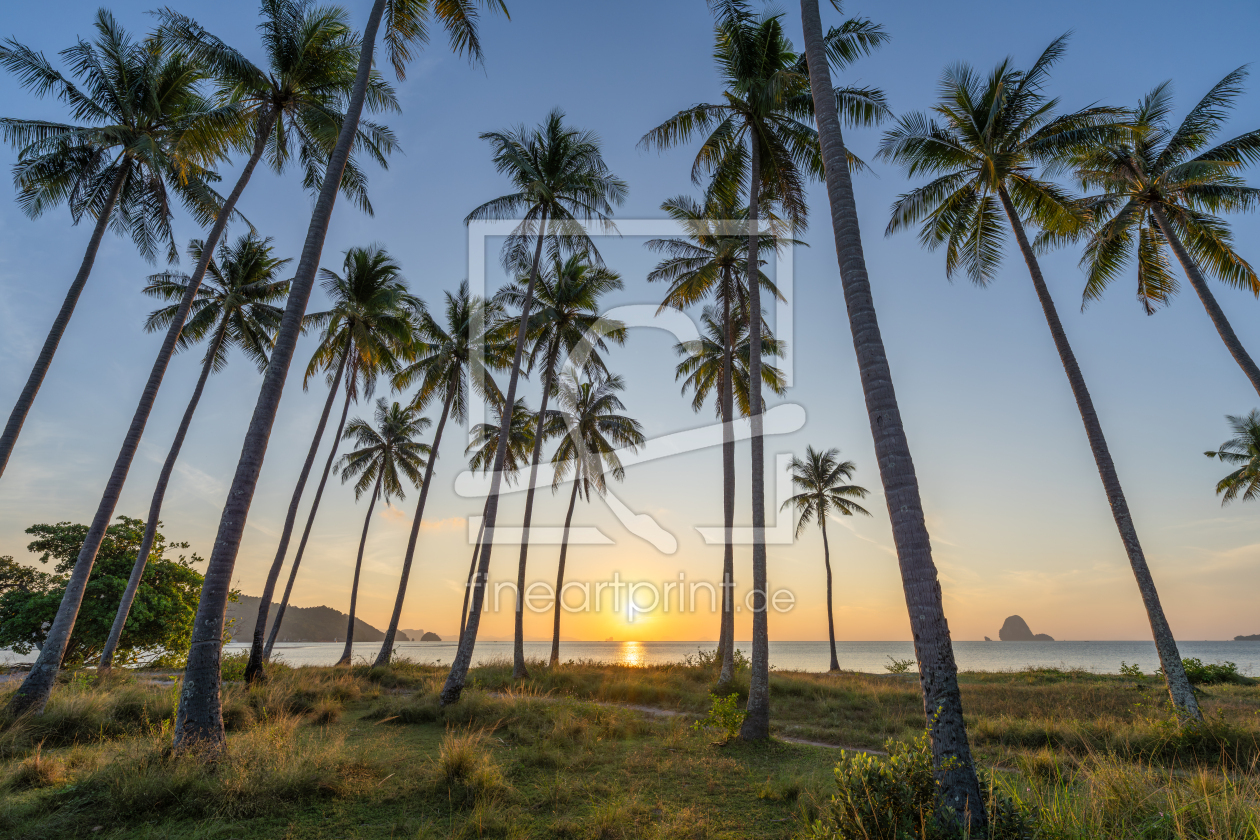 Bild-Nr.: 12891382 Palmenstrand auf Koh Yao Yai erstellt von eyetronic