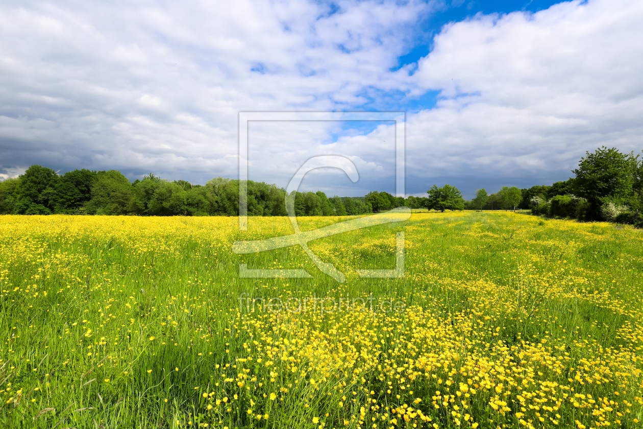 Bild-Nr.: 12891483 Frühling erstellt von Amazone54