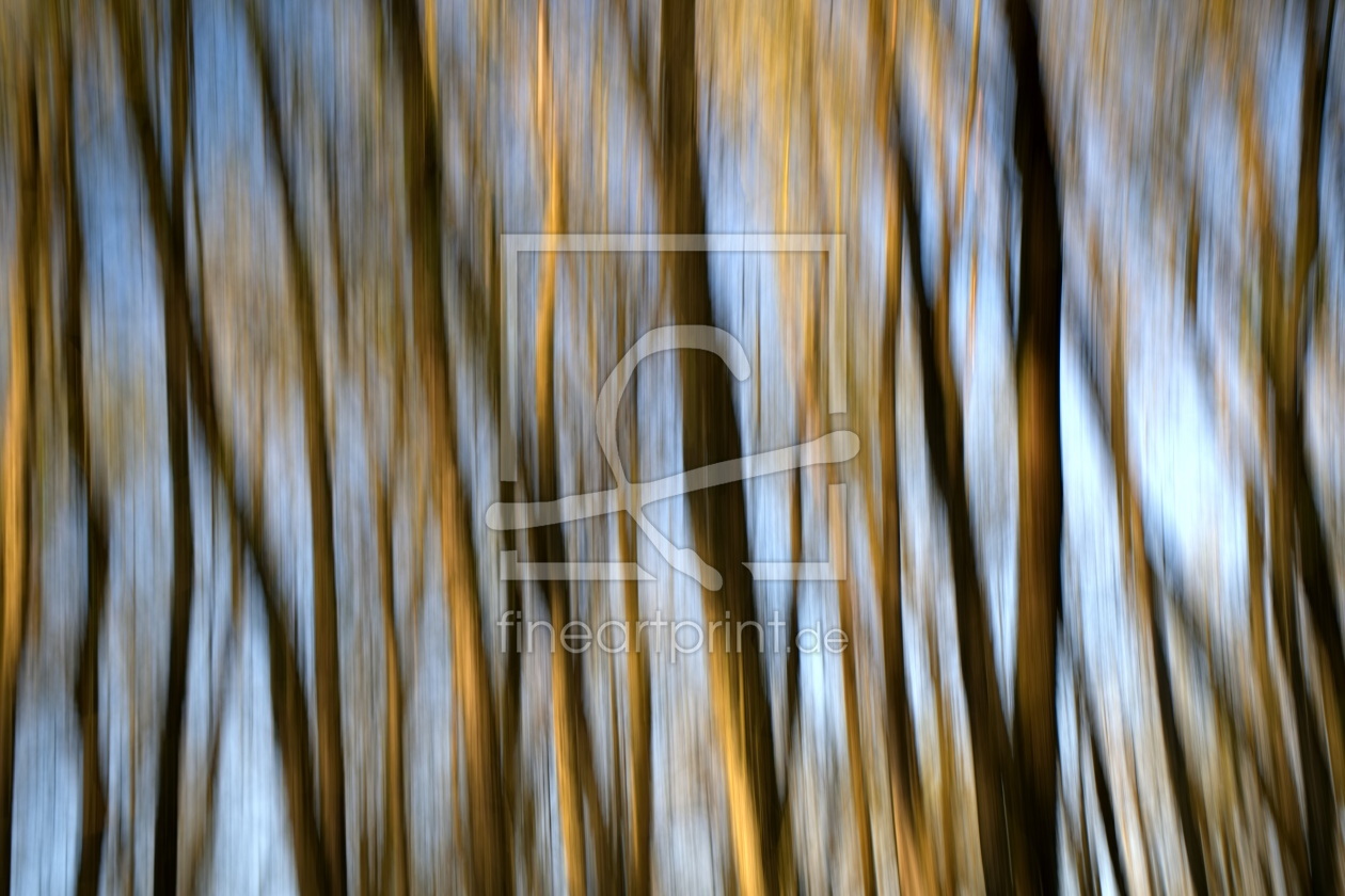 Bild-Nr.: 12891807 tree shake erstellt von Bellavonte