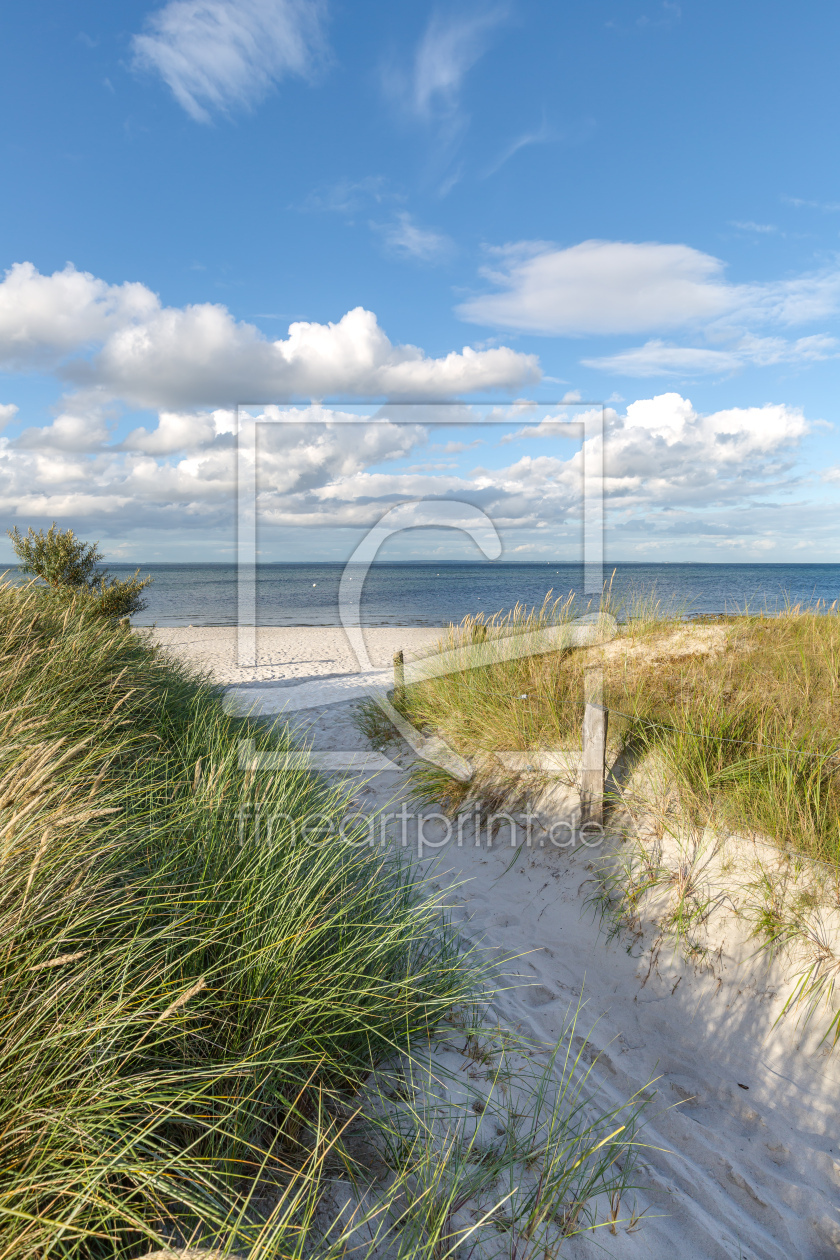Bild-Nr.: 12891994 Sommer an der Ostsee  erstellt von Ursula Reins