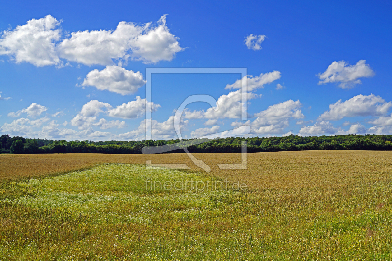 Bild-Nr.: 12893850 Landwirtschaft erstellt von Ostfriese