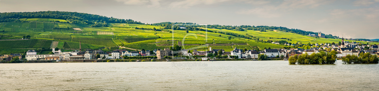 Bild-Nr.: 12894813 Stadtpanorama Rüdesheim -1n- erstellt von Erhard Hess