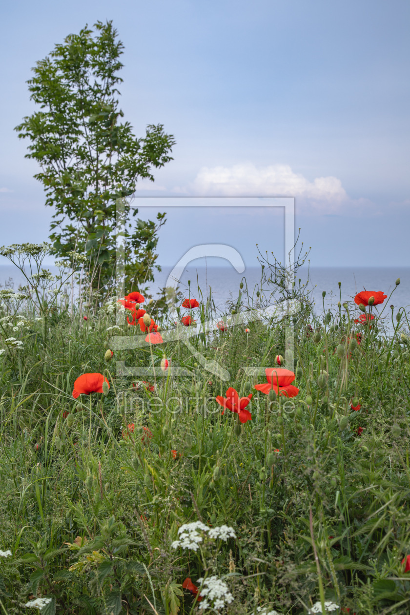 Bild-Nr.: 12895817 Sommer am Meer erstellt von Ursula Reins