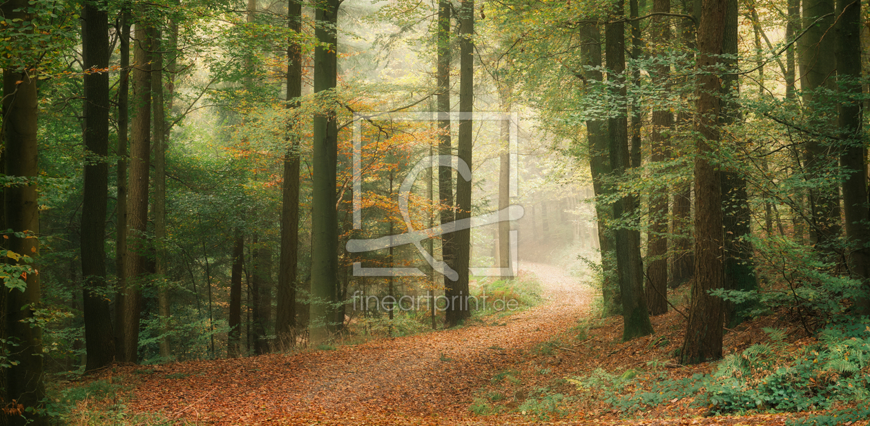 Bild-Nr.: 12896200 Ruhige Herbstszene im malerischen Wald erstellt von Smileus