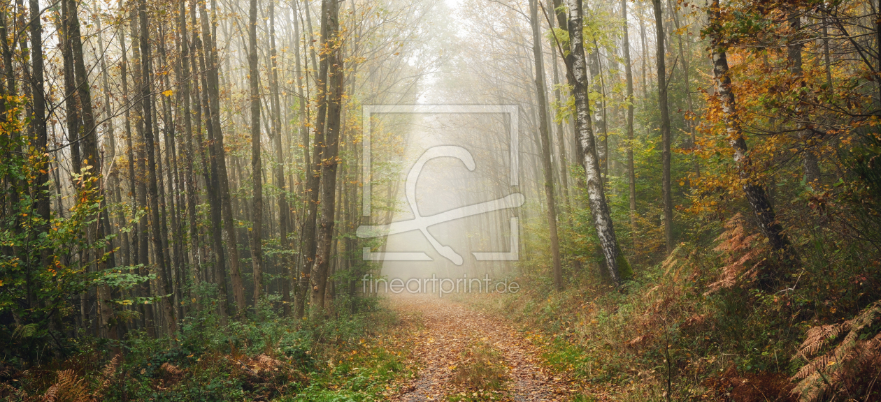 Bild-Nr.: 12896203 Herbstlicher Waldweg im Nebel erstellt von Smileus