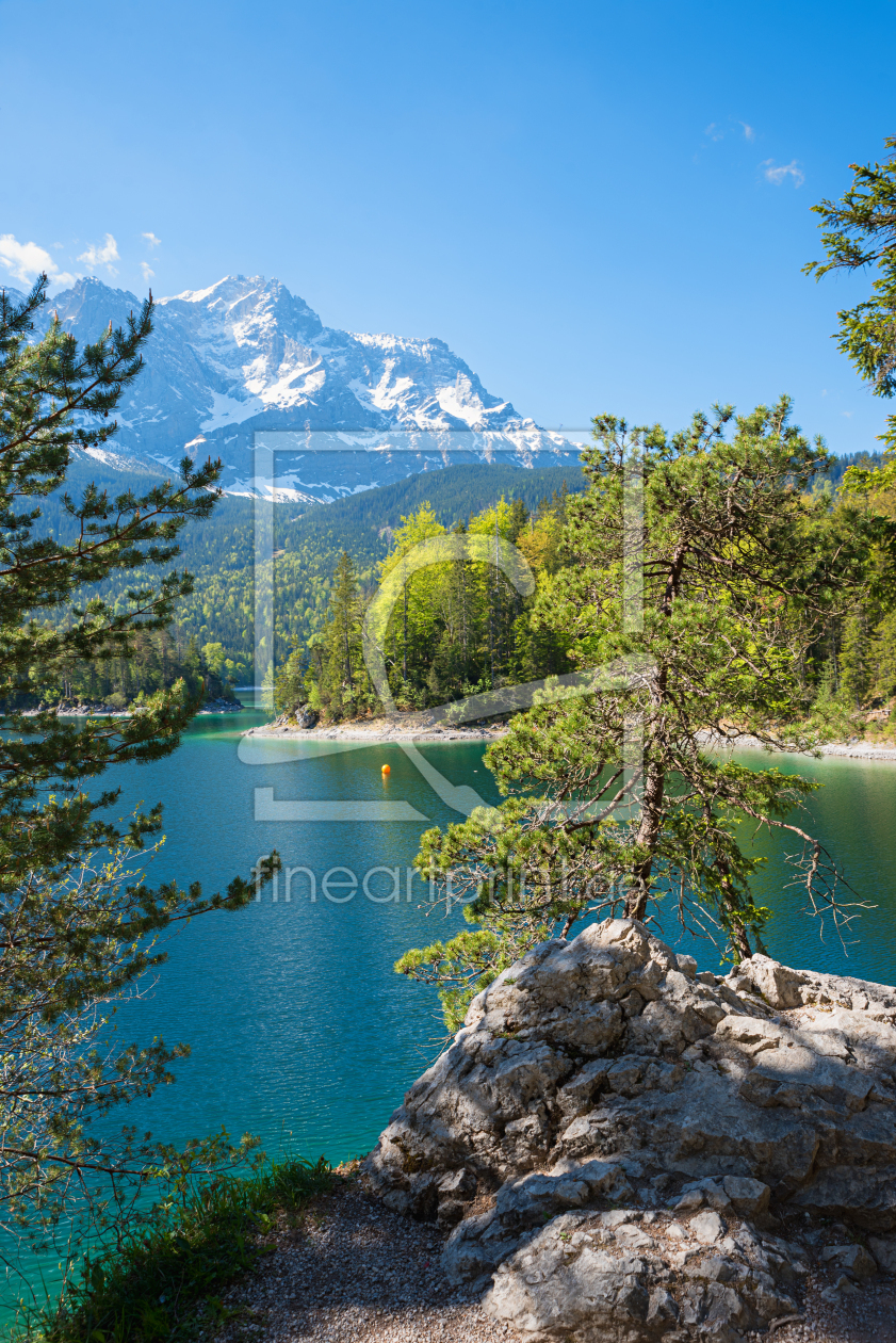 Bild-Nr.: 12897220 Felsenkiefer am Eibsee erstellt von SusaZoom