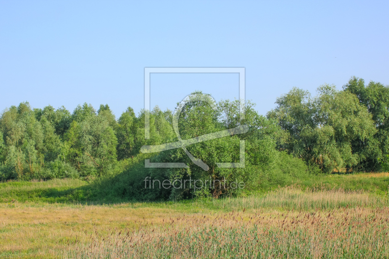 Bild-Nr.: 12897410 Landschaft an der Oder erstellt von PhotoMah
