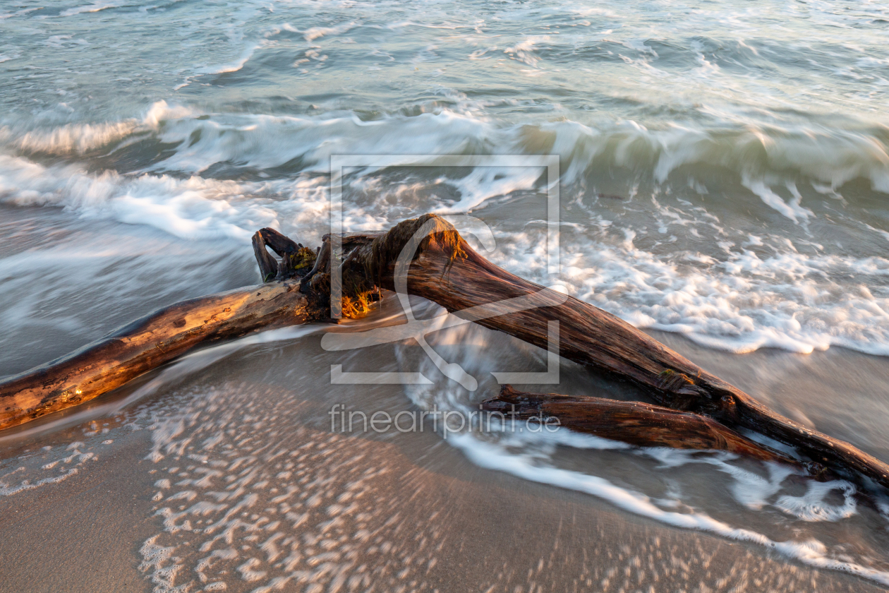 Bild-Nr.: 12897702 Ahrenshoop Darß Ostsee erstellt von Schildchen