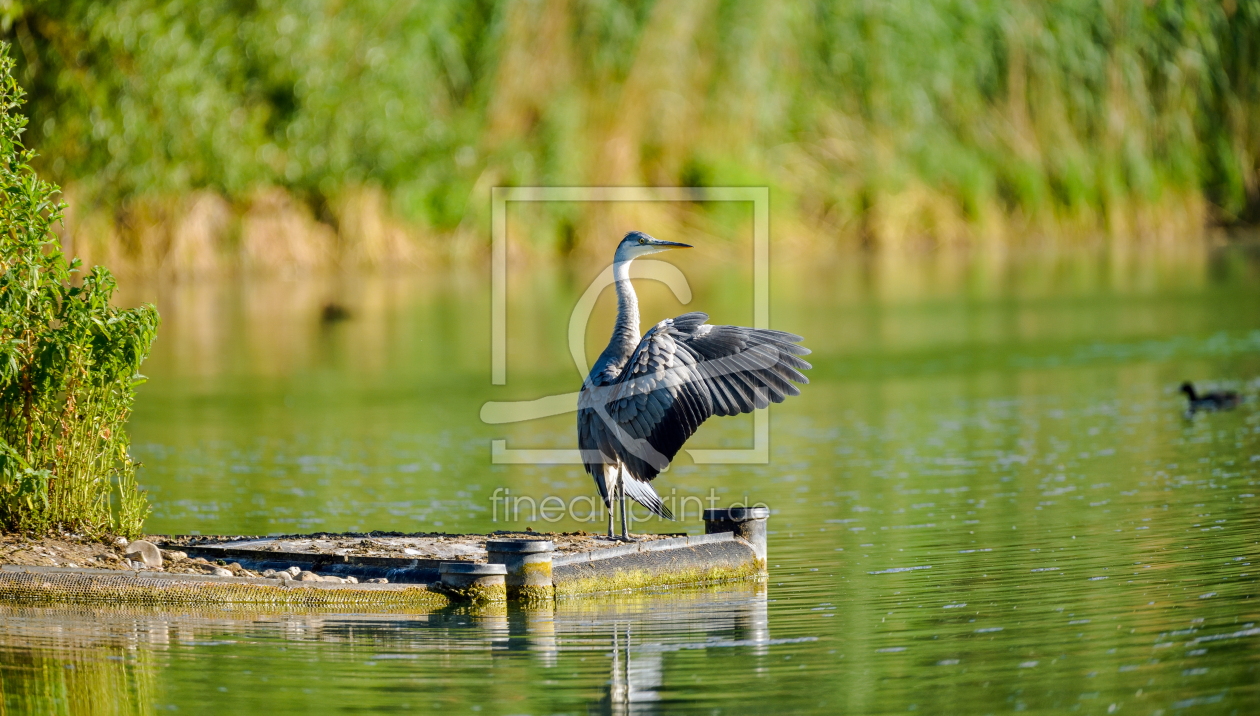 Bild-Nr.: 12898398 An der Donau erstellt von Gregor Handy