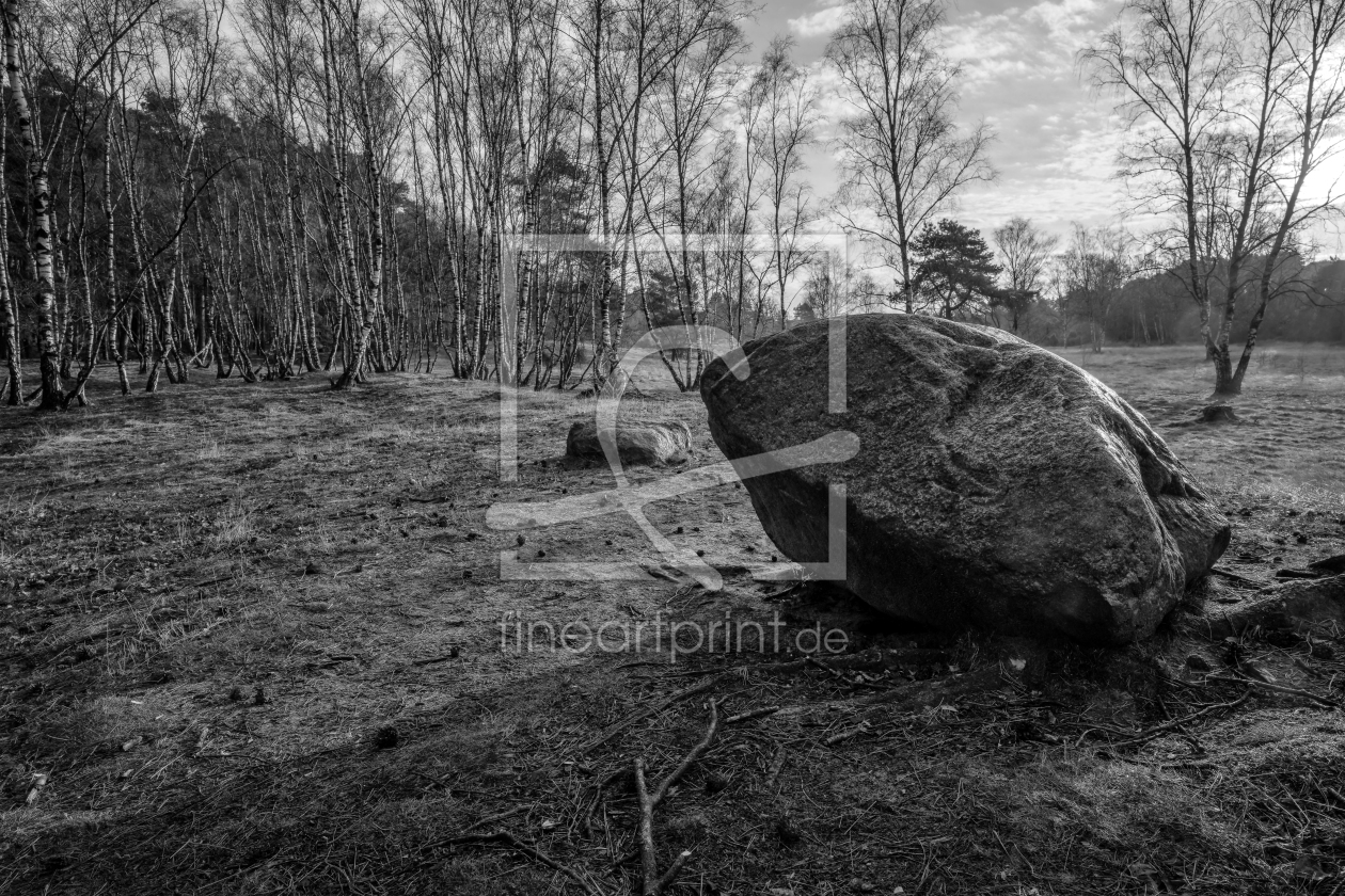 Bild-Nr.: 12898834 Findling in der Westruper Heide erstellt von volker heide