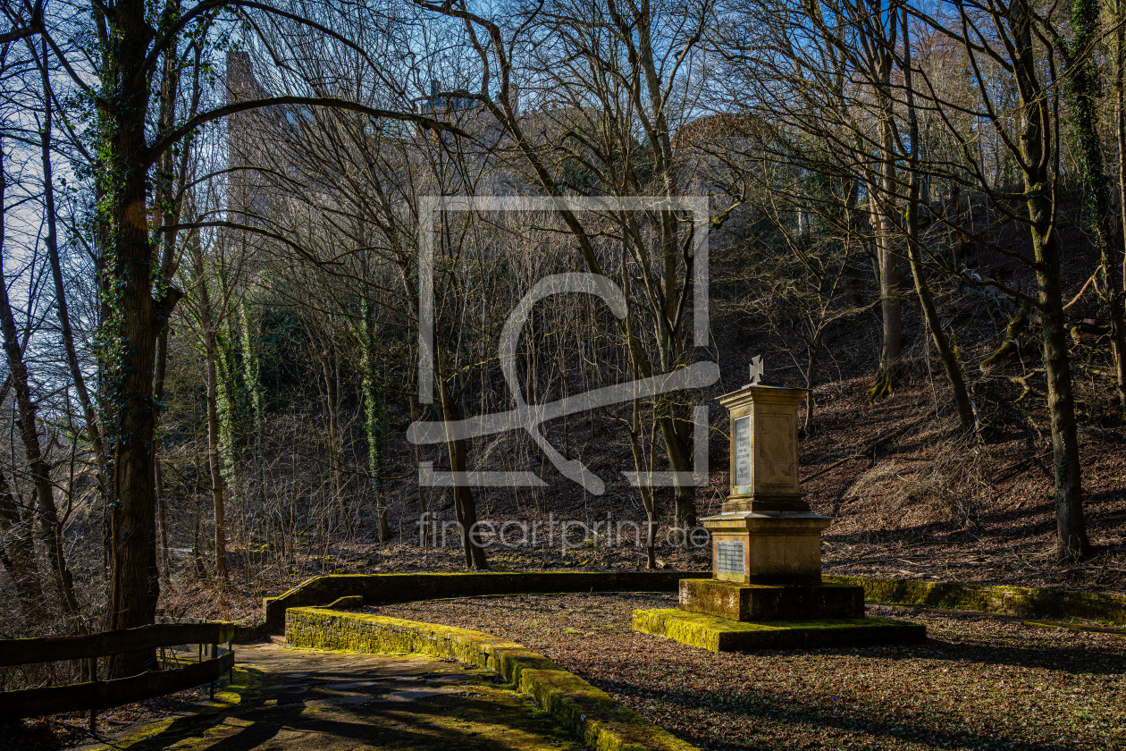 Bild-Nr.: 12899350 Schlosspark Oberstein 72 erstellt von Erhard Hess