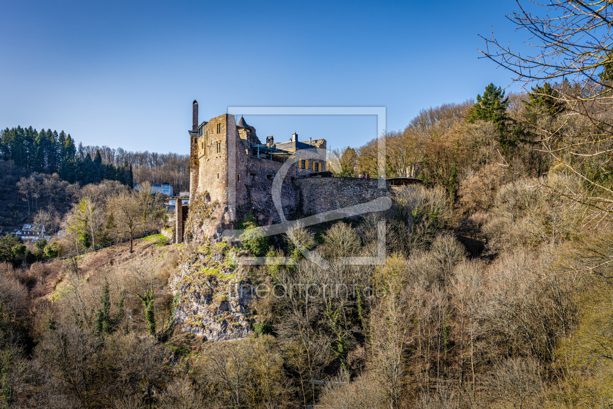 Bild-Nr.: 12899352 Schloss Oberstein 40 erstellt von Erhard Hess