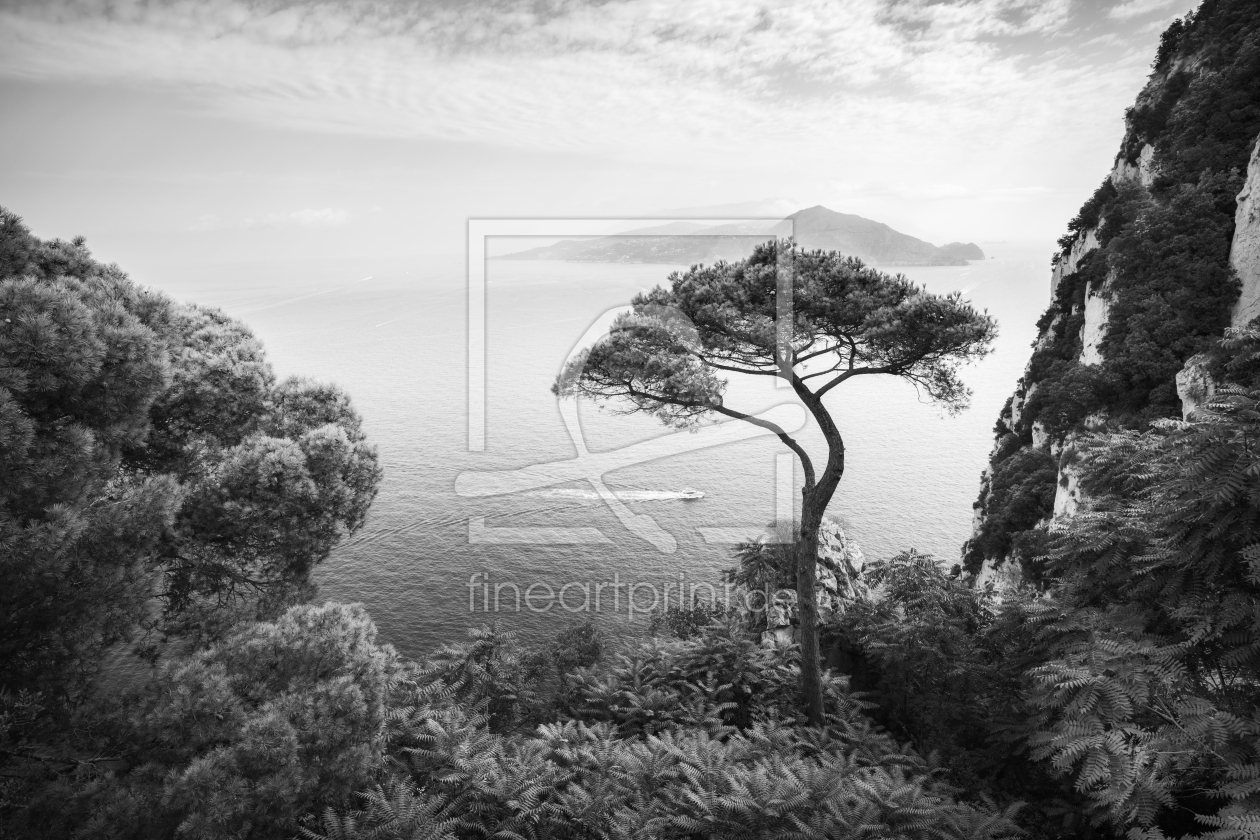 Bild-Nr.: 12900016 Capri schwarzweiß erstellt von eyetronic