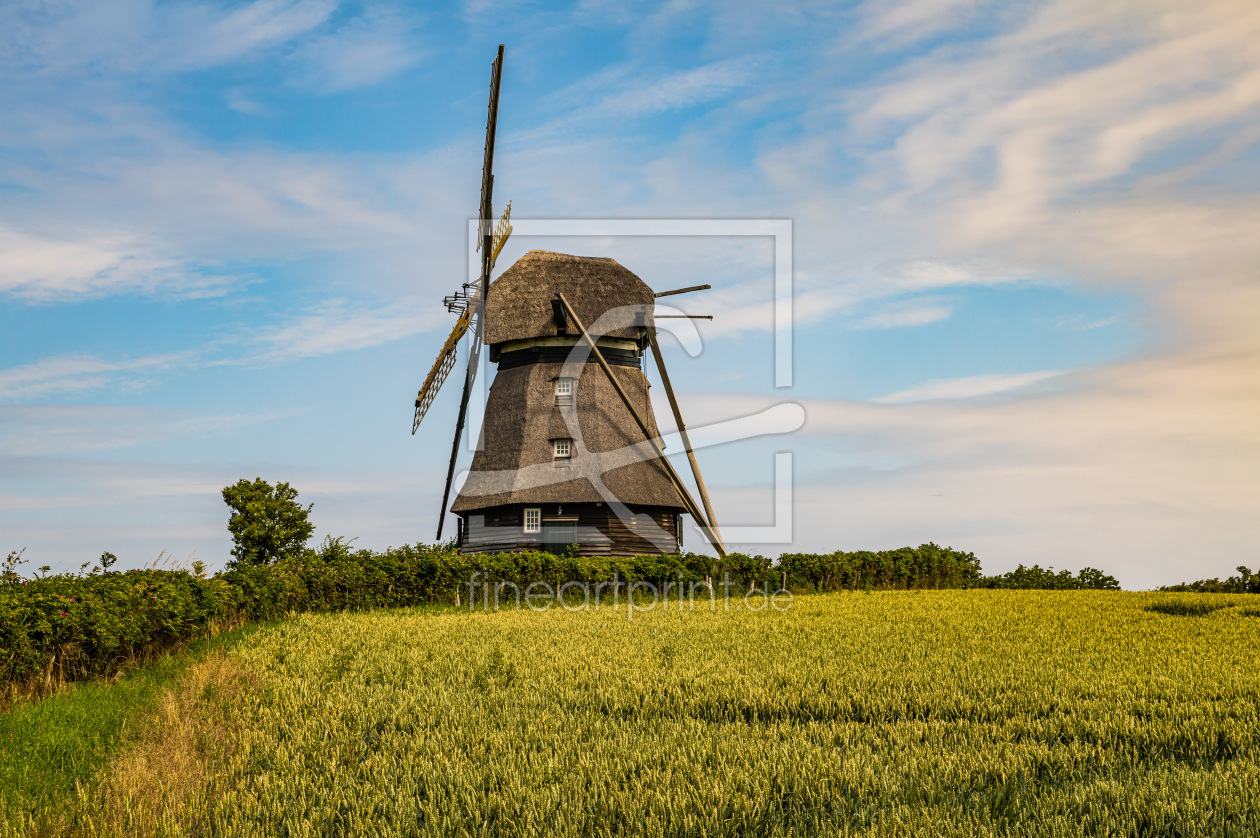 Bild-Nr.: 12900417 Windmühle im Kornfeld erstellt von Ursula Reins