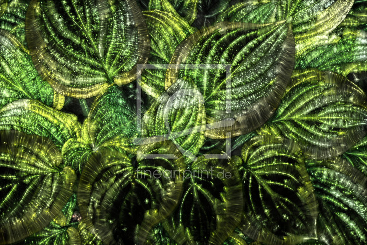 Bild-Nr.: 12901610 Green Leaves erstellt von volker heide