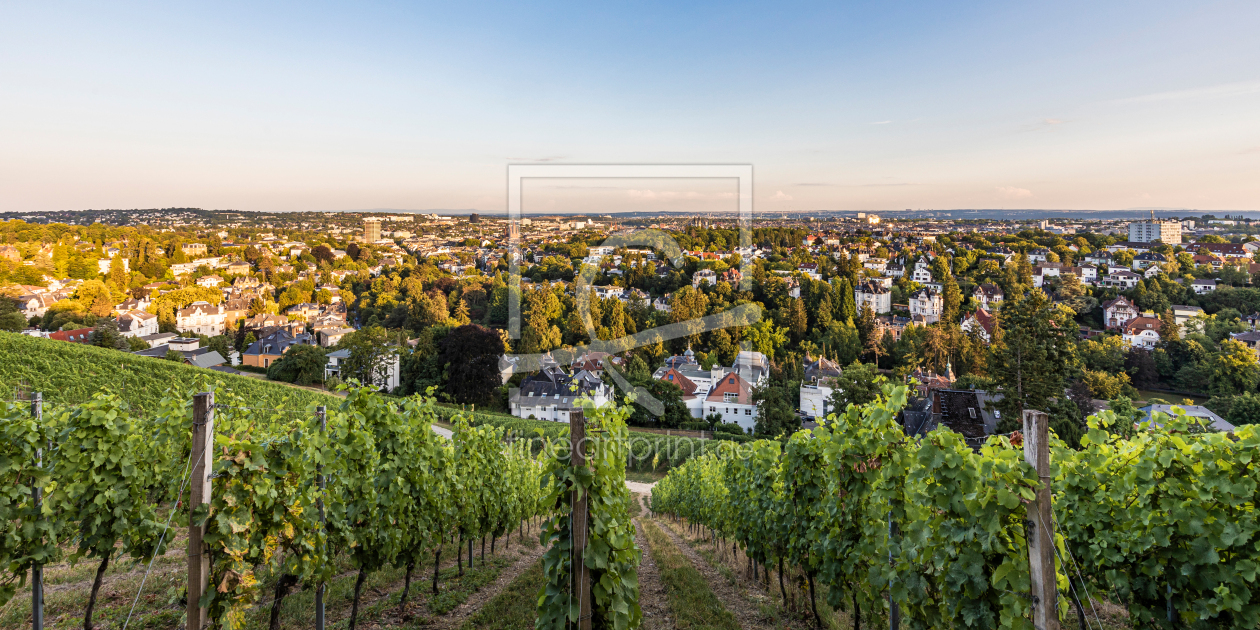 Bild-Nr.: 12901914 Blick vom Neroberg auf Wiesbaden in Hessen erstellt von dieterich