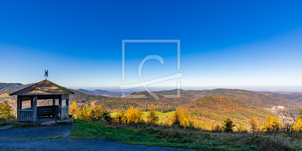 Bild-Nr.: 12901918 Westweg Schweizerkopf-Hütte Schwarzwald erstellt von dieterich