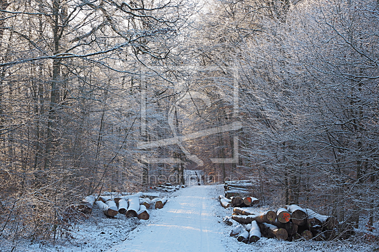 Bild-Nr.: 12904356 Winterwald erstellt von Herbo