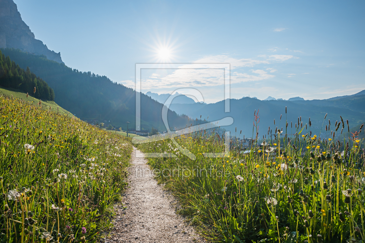 Bild-Nr.: 12905105 Wiesenweg in den Südtiroler Dolomiten erstellt von SusaZoom