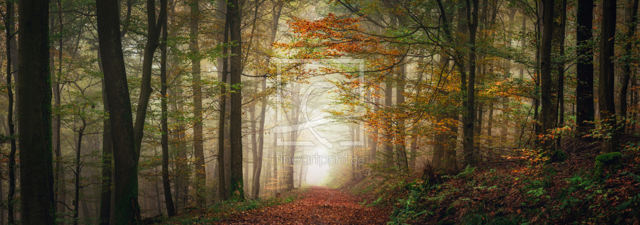 Bild-Nr.: 12905589 Verträumte Märchenlandschaft im nebligen Wald erstellt von Smileus