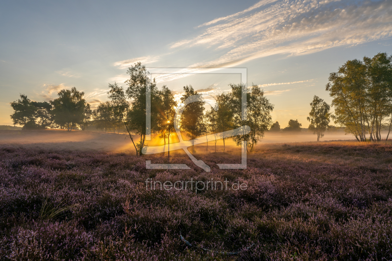 Bild-Nr.: 12905680 Symphony aus Licht und Farben in der Heide erstellt von volker heide