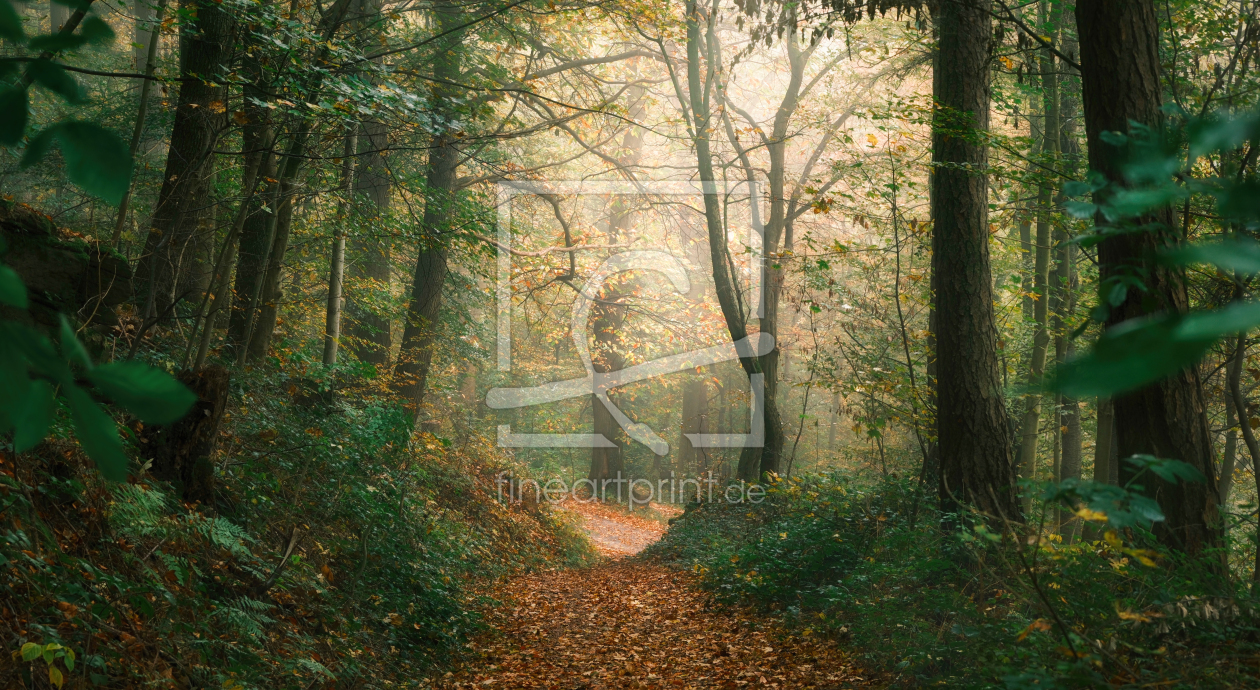 Bild-Nr.: 12905783 Grünes und oranges Laub im nebligen Herbstwald erstellt von Smileus