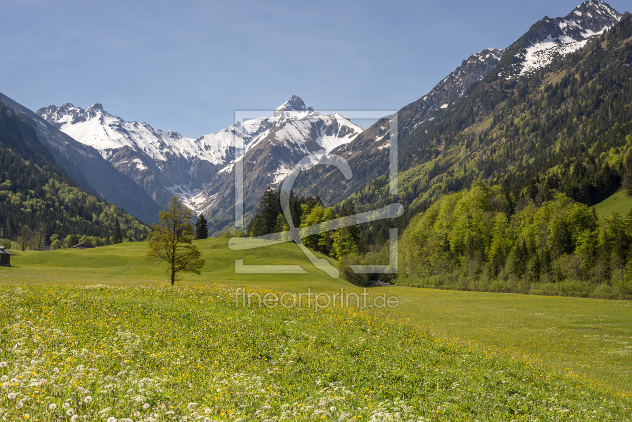 Bild-Nr.: 12906271 Frühlingstraum im Trettachtal erstellt von Walter G. Allgöwer