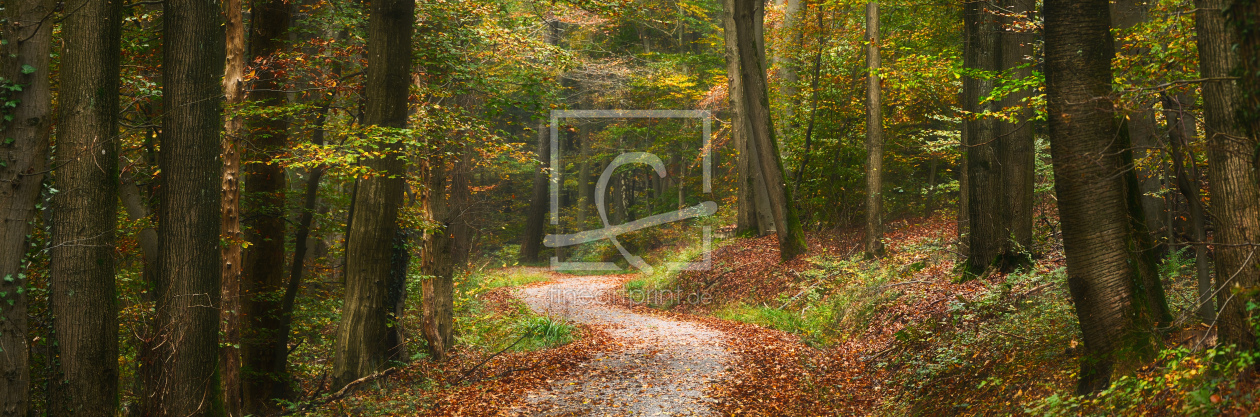 Bild-Nr.: 12907352 Wanderweg im Herbst mit sanftem Licht erstellt von Smileus