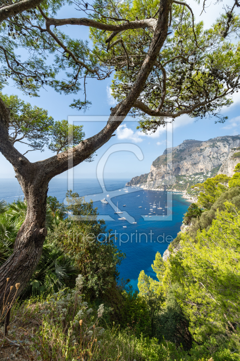 Bild-Nr.: 12907612 Ausblick vom Belvedere die Tragara auf Capri erstellt von eyetronic