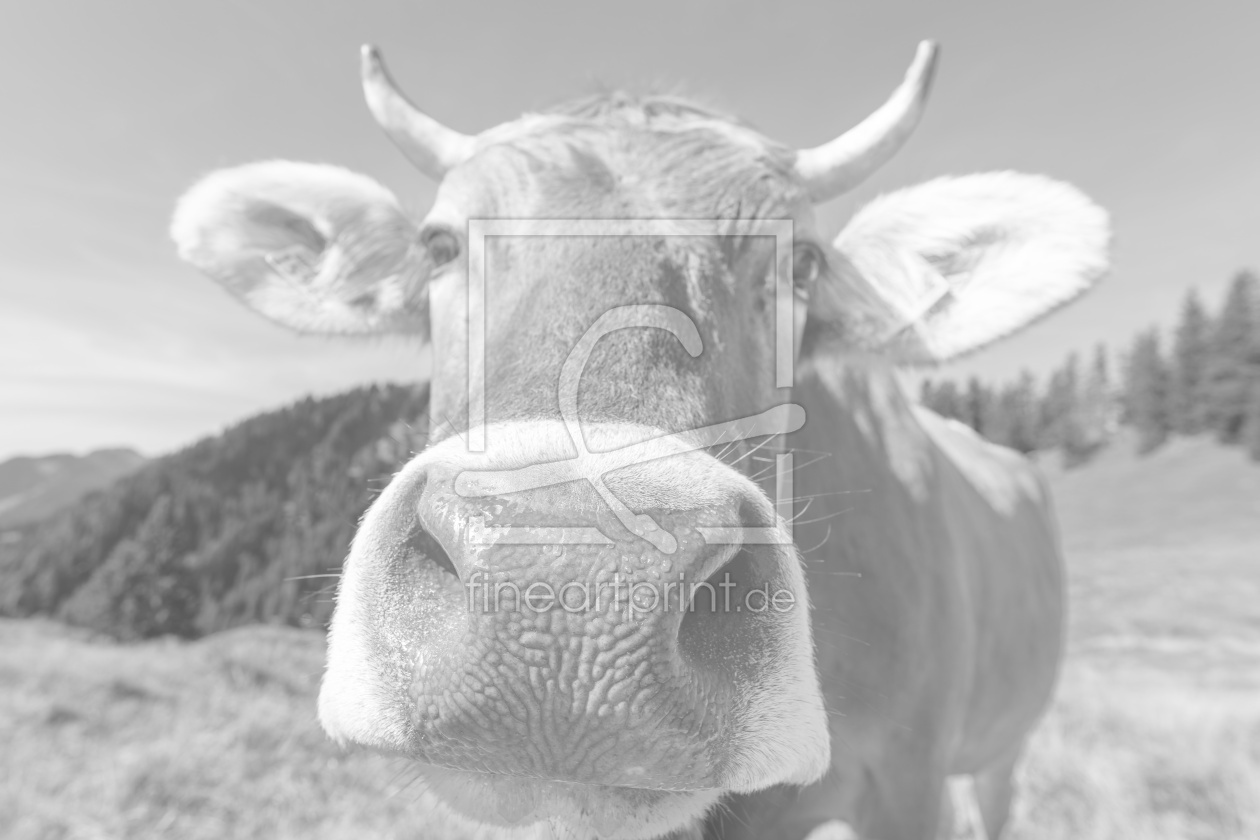 Bild-Nr.: 12908890 Das Gesicht des Allgäu erstellt von Walter G. Allgöwer